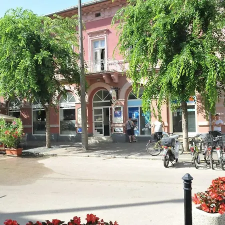 Piros Arany Panzio